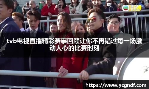 tvb电视直播精彩赛事回顾让你不再错过每一场激动人心的比赛时刻