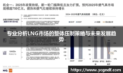 专业分析LNG市场的整体压制策略与未来发展趋势