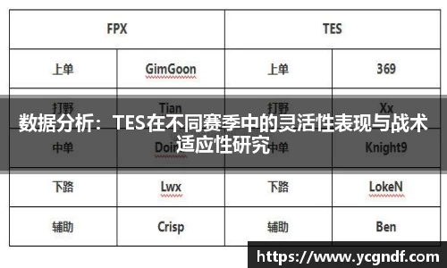 数据分析：TES在不同赛季中的灵活性表现与战术适应性研究