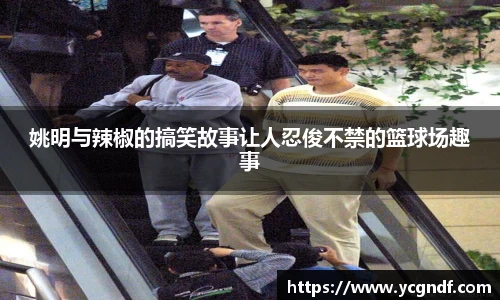 姚明与辣椒的搞笑故事让人忍俊不禁的篮球场趣事
