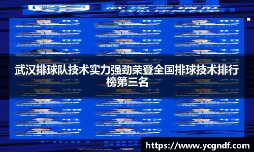 武汉排球队技术实力强劲荣登全国排球技术排行榜第三名